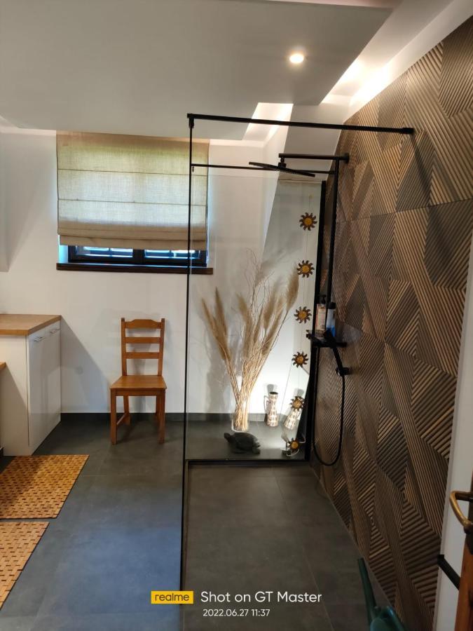 Apartament Forest Mysłakowice Kültér fotó