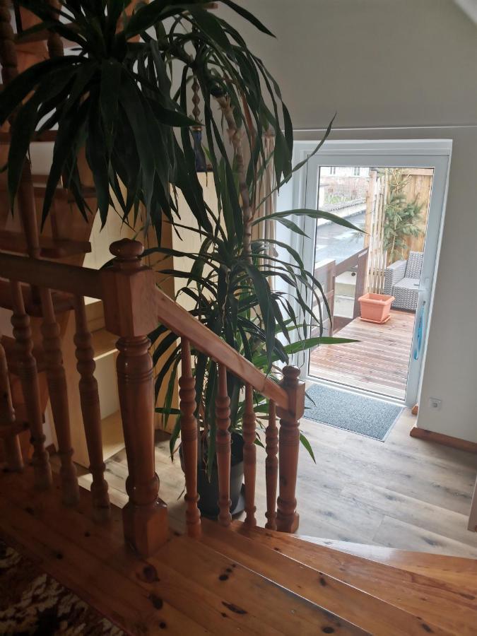 Apartament Forest Mysłakowice Kültér fotó