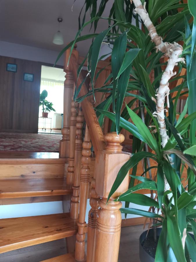 Apartament Forest Mysłakowice Kültér fotó
